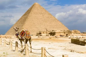 Receives personalized guidance tailored to their unique spiritual and emotional circumstances. Prof Zando +27635297926